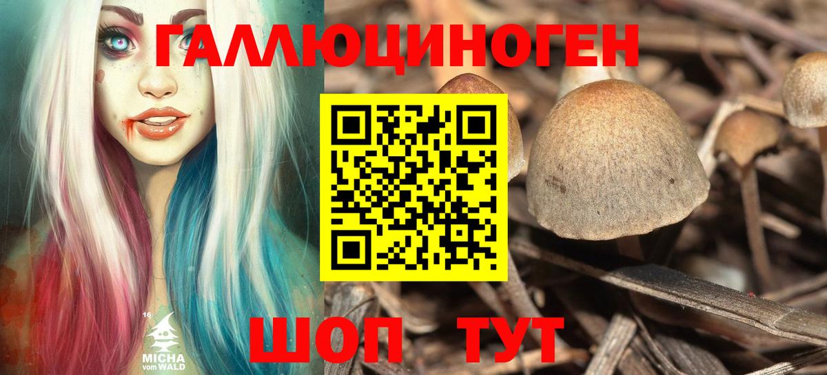 Псилоцибиновые грибы MAGIC MUSHROOMS  Псилоцибиновые грибы Psilocybe  Алатырь  купить  цена  Вход с VPN 